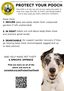 Protect Pooch Poster