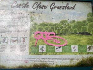 Plan showing graffitti 