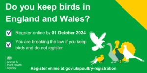 Poster about keeping birds in England and Wales, register by 1st Oct 24 at gov.uk/poultry-register